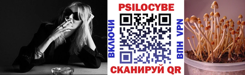 Псилоцибиновые грибы Psilocybine cubensis  как найти   МЕГА ONION  Анадырь 